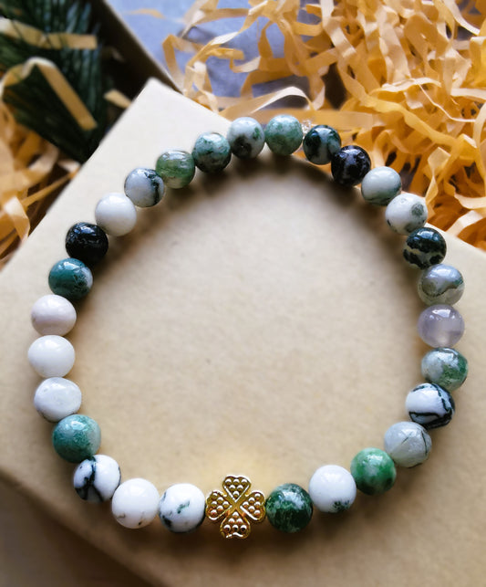 Zielone Szczęście 🍀